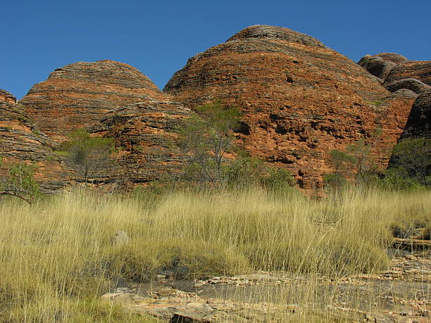 istock Purnululu sandstone and grass 92247672