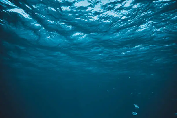 Photo of underwater background