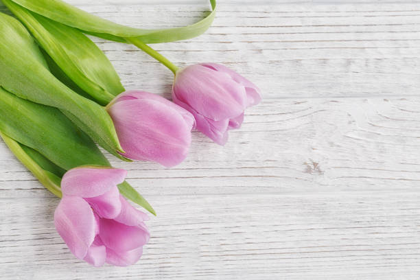 istock Purple tulips on wooden table 922487282
