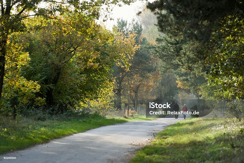 Vista posterior de la pareja senior caminando en el bosque - Foto de stock de Andar libre de derechos