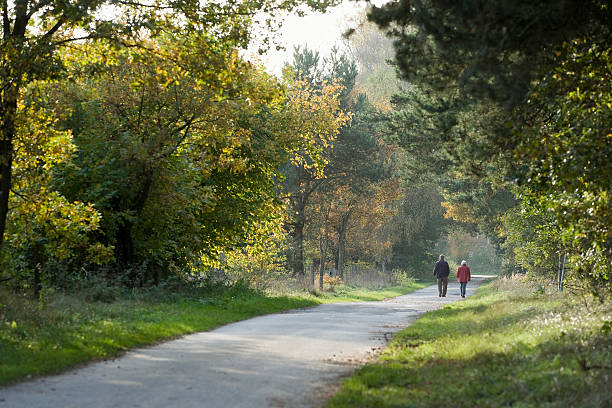 istock Rear view on senior couple walking in forest 92249341