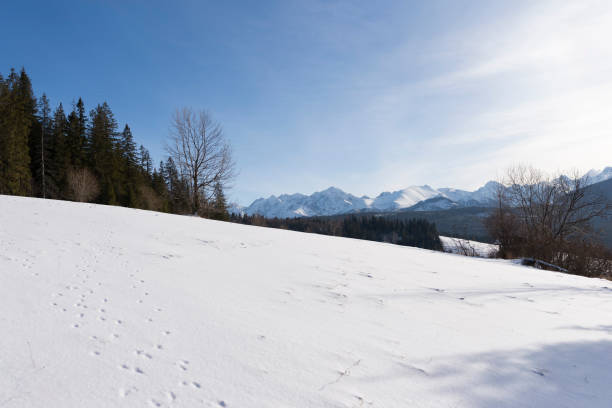 istock Winter mountains covered with snow, Poland 922493754
