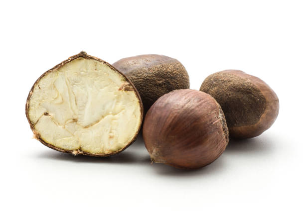 istock Raw edible Chestnut isolated on white 922501266