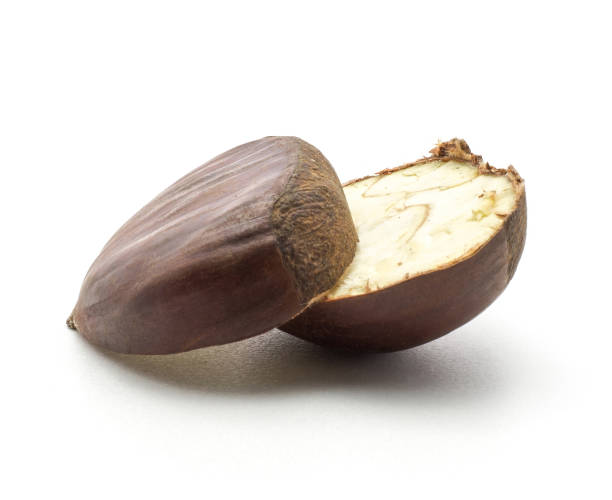istock Raw edible Chestnut isolated on white 922501282