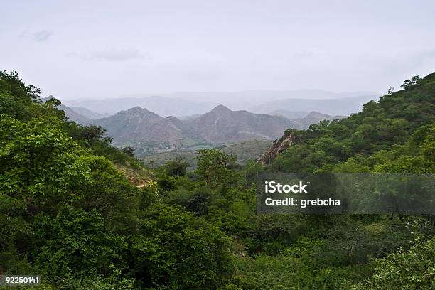 Foto de Montanhas Ao Redor De Udaipur e mais fotos de stock de Agosto - Agosto, Ambiente dramático, Arbusto