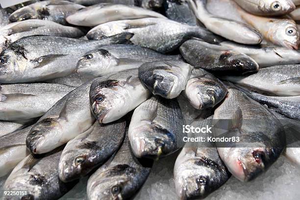 Pila De Silver Fish Sobre Hielo Foto de stock y más banco de imágenes de Alimento - Alimento, Boca de animal, Captura de peces