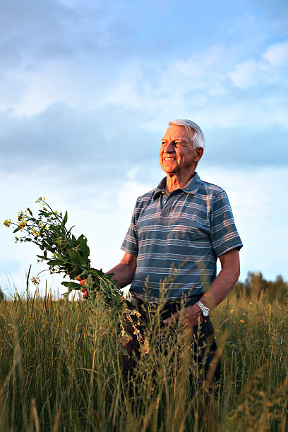 istock Happy male senior looking at sunset in field 92250181