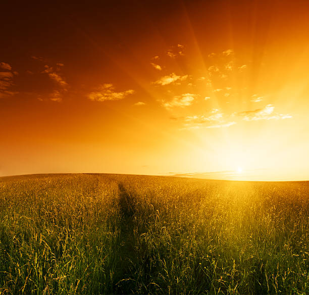 istock A sun setting over a field of grass 92250425