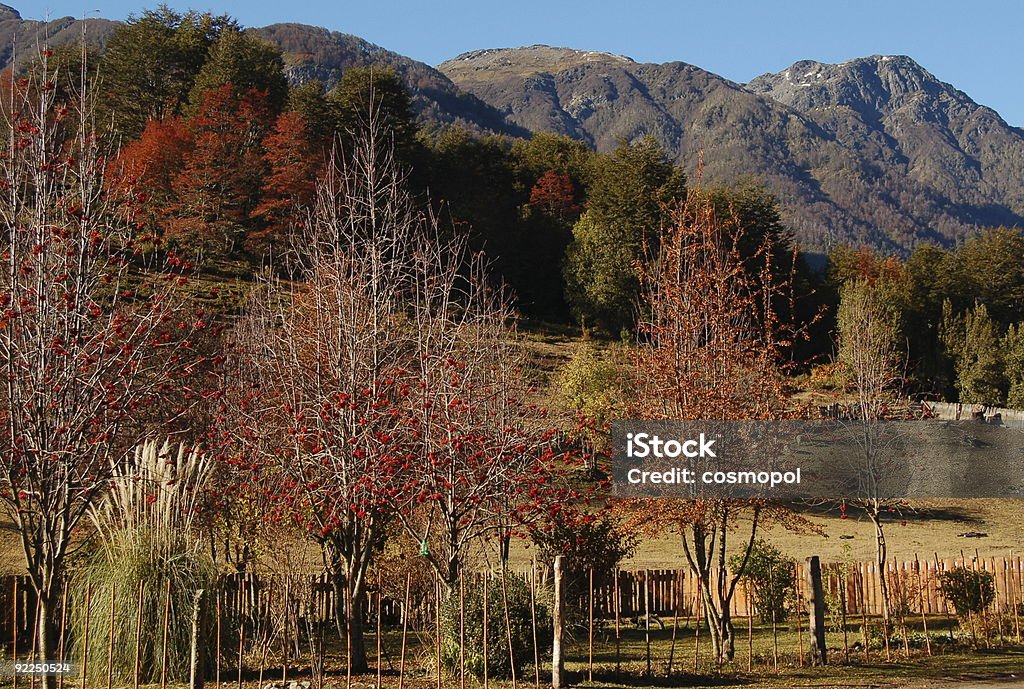 Cores do outono em Lake District Patagônia - Foto de stock de Argentina royalty-free