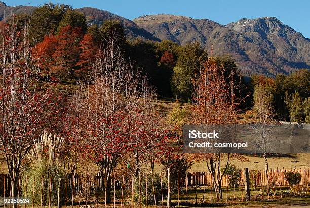 Outono Cores Em Lake District Patagônia - Fotografias de stock e mais imagens de Ao Ar Livre - Ao Ar Livre, Argentina, Campo agrícola