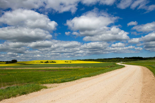 istock Landscape with country road. 922511904