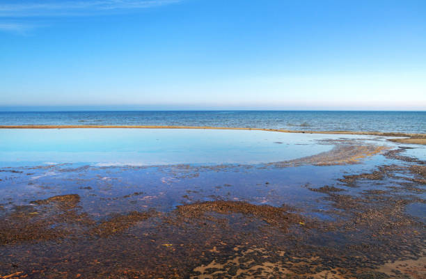 istock Coast of Baltic sea. 922513618