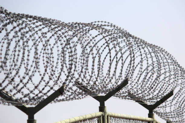 istock wire fence with barbed wires 922518026