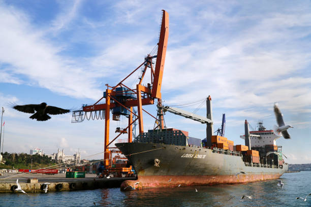 grand navire nommé louisa schulte dans le port de haydarpasa à istanbul - named logistics company photos et images de collection
