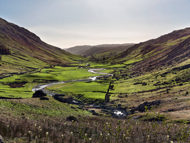 istock Landscape in the Lake District National Park, UK 922519128