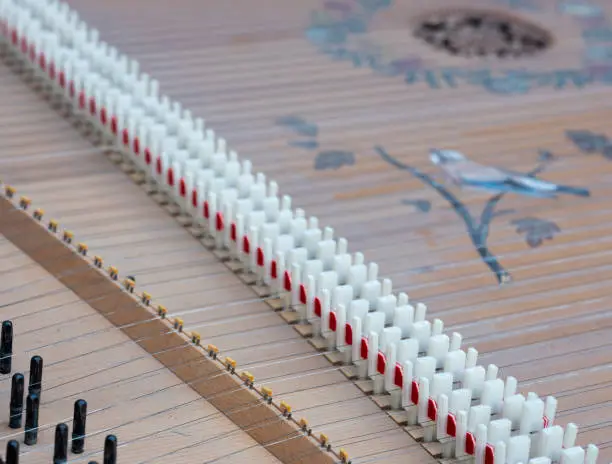 snares inside body of old harpsichord with bridge and pins