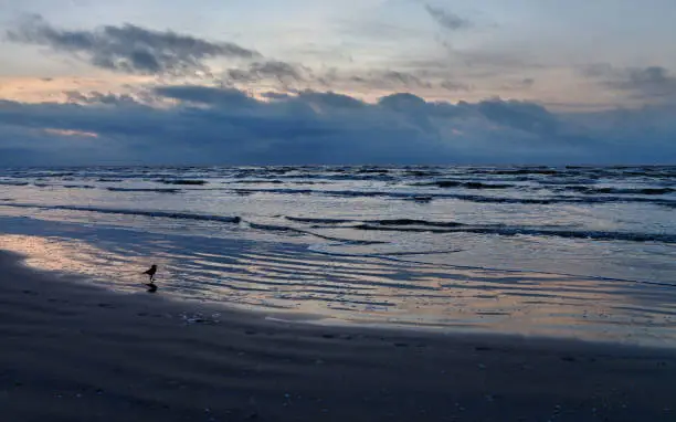 Photo of Dark Baltic sea.