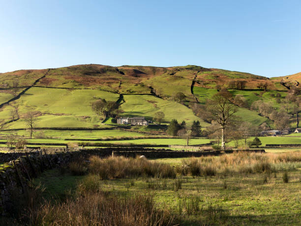 istock Landscape in the Lake District National Park, UK 922526280