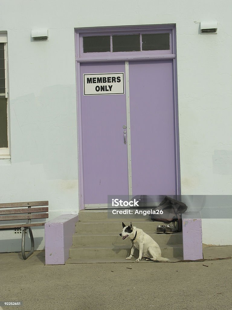 Cão de guarda na porta - Foto de stock de Confiabilidade royalty-free