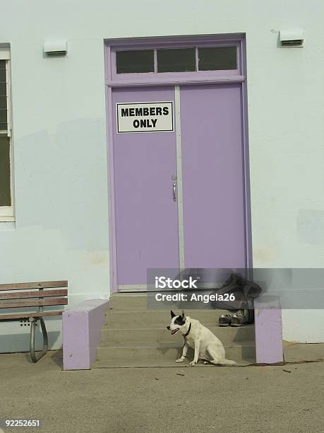 Foto de Cão De Guarda Na Porta e mais fotos de stock de Confiabilidade - Confiabilidade, Confiança, Cão