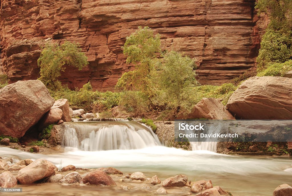 canyon Havasu flusso di flusso con cascate, alberi e alle rocce. - Foto stock royalty-free di Albero