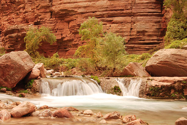 Havasu canyon flowing stream with waterfall, trees and rocks.  harasu canyon stock pictures, royalty-free photos & images