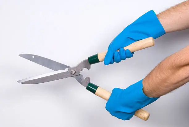 Photo of Garden shears on a plain background, Turkey, Istanbul