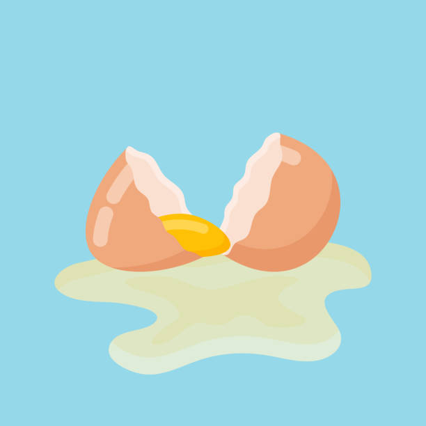gebrochene ei mit schale und eigelb. vektor-illustration. - eggs animal egg broken yellow stock-grafiken, -clipart, -cartoons und -symbole