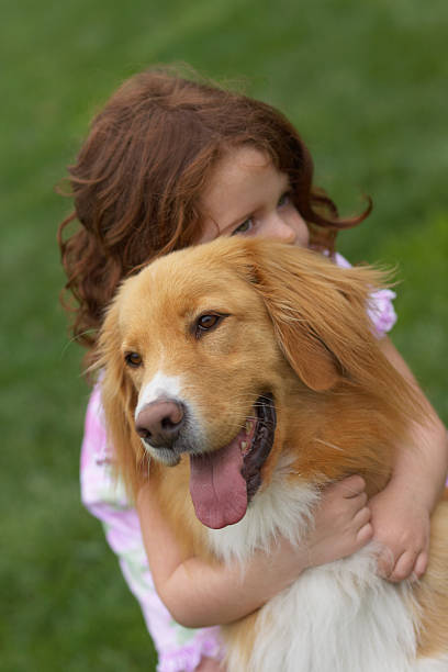 Red-haired Dziewczyna objąć kartę golden retriever – zdjęcie