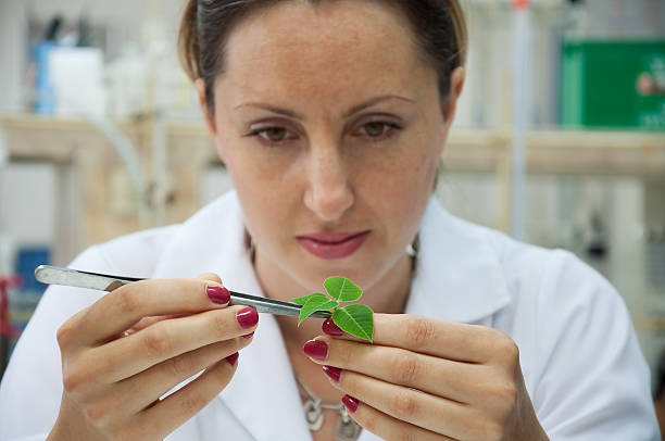 istock Woman scientist in white examining green leaves with tool 92253609