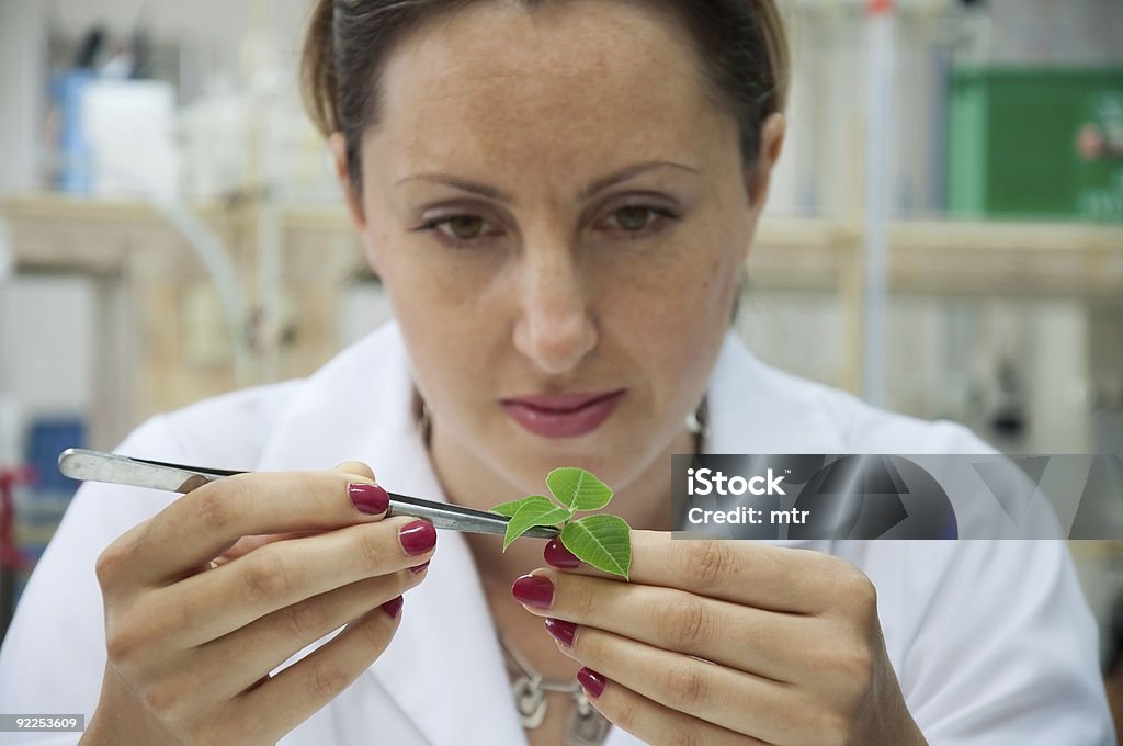 Cientista mulher Pesquisador examinar planta Verde - Foto de stock de Adulto royalty-free