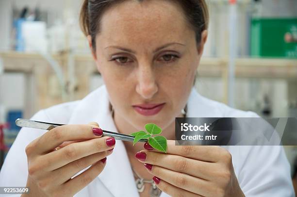 Foto de Cientista Mulher Pesquisador Examinar Planta Verde e mais fotos de stock de Adulto - Adulto, Agricultura, Biologia