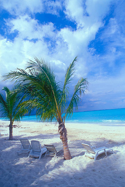 Bahamas Deck Chairs stock photo