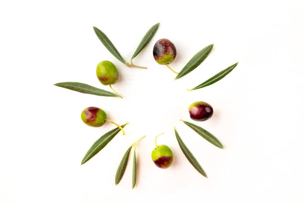 An overhead photo of two olive leaves and olives, forming a frame with copy space on a white background