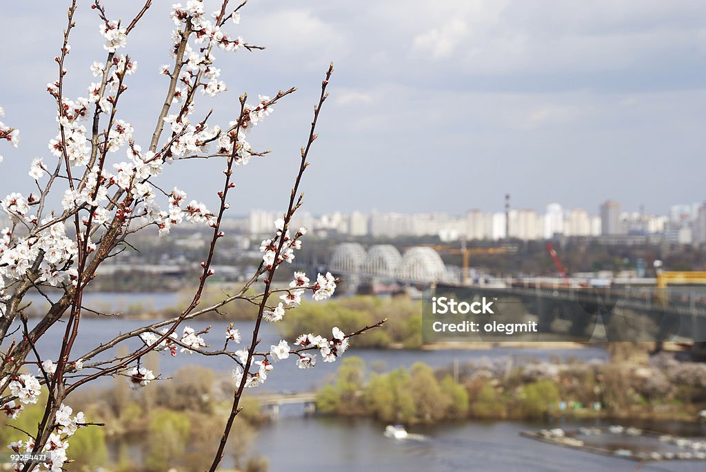 Kiev landscape from top  Arranging Stock Photo
