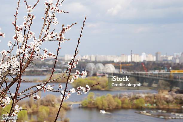 Kiev Landscape From Top Stock Photo - Download Image Now - Arranging, Blossom, Building - Activity