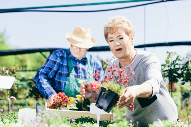 istock Elderly couple picking the flowers 922548548