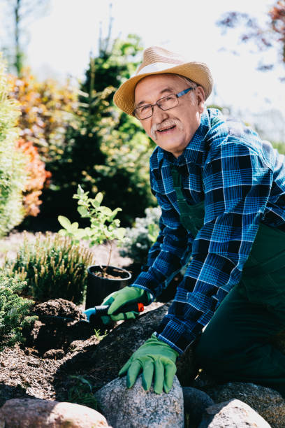 istock Man planting flowers in his garden 922548574
