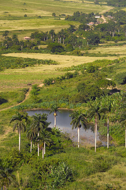 Cuban rural landscape stock photo