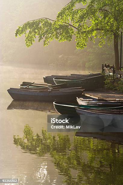 Waterside Cafe In A Misty Morning Stock Photo - Download Image Now - Abandoned, Absence, Bird