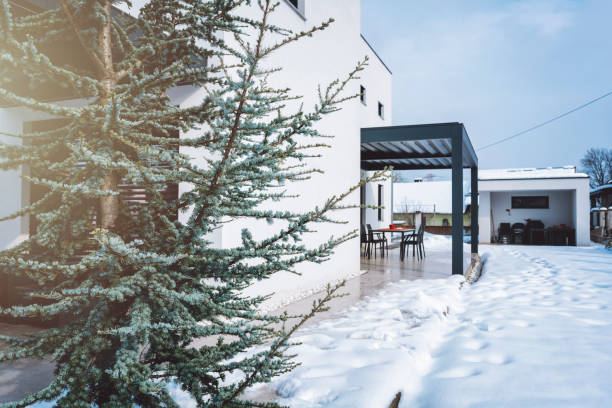 istock Stylish house with large backyard 922553136