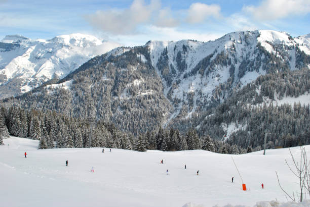 istock Winter forest in the Alps 922556584