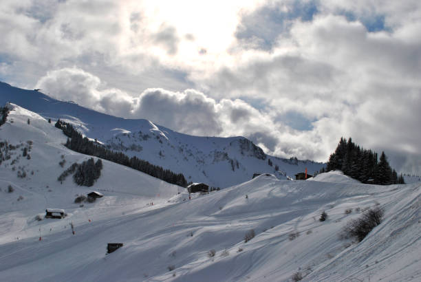 istock Winter forest in the Alps 922556640