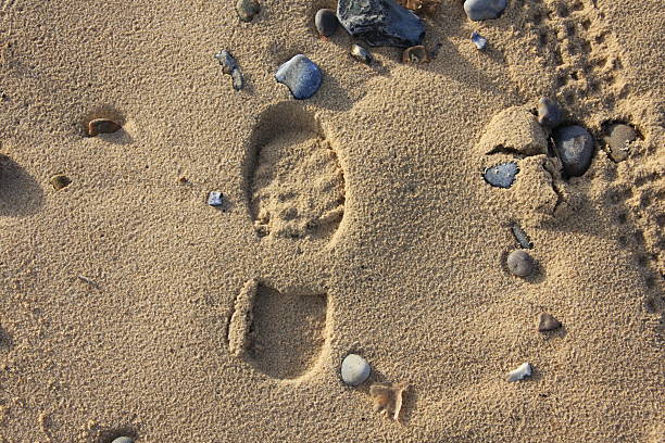istock Footprint in the sand 92256483