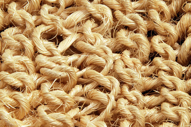 istock Loofah Glove Close Up 92256627