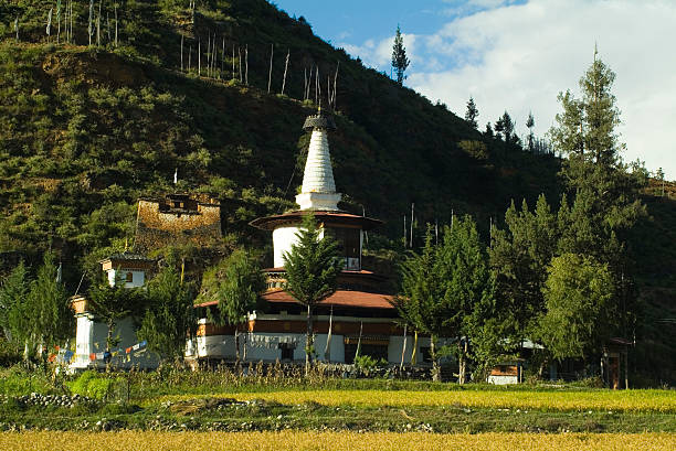 istock Bhutan, Dhungtse Lakhang 92257132