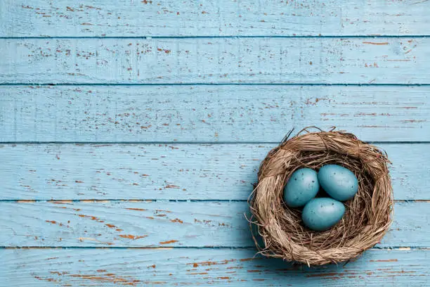Easter eggs in nest on blue old planks