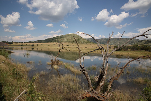 Pilanesberg National Park view in South Africa