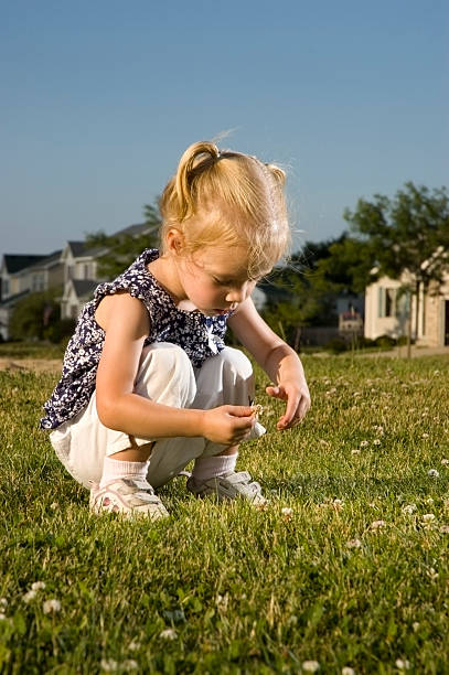 Exploring the grass stock photo