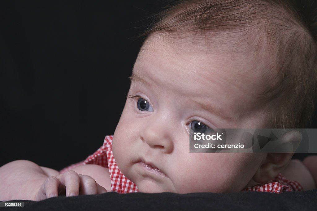 Infant Looks away  Animal Nose Stock Photo